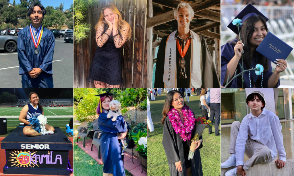 Freshman Year Chronicles by Great Expectations